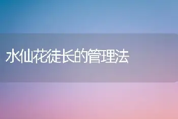 水仙花徒长的管理法