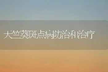 天竺葵斑点病防治和治疗