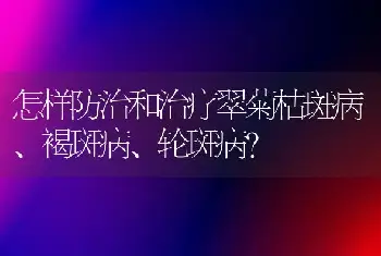 怎样防治和治疗翠菊枯斑病、褐斑病、轮斑病？