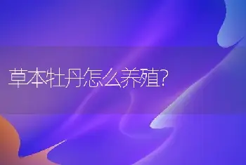 草本牡丹怎么养殖？