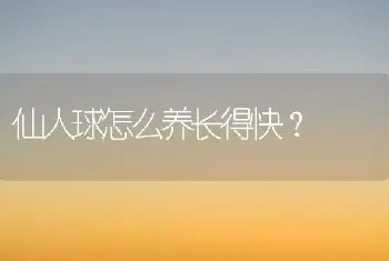 仙人球怎么养长得快？