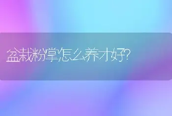 盆栽粉掌怎么养才好？