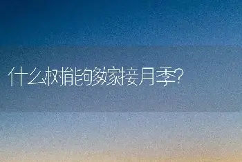 什么树能够嫁接月季？