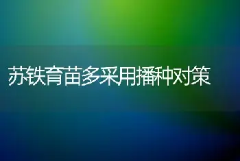 苏铁育苗多采用播种对策