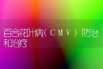 百合花叶病(CMV)防治和治疗