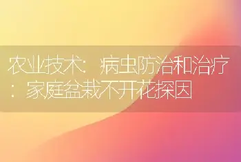 农业技术:病虫防治和治疗：家庭盆栽不开花探因