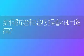 如何防治和治疗报春花叶斑病？