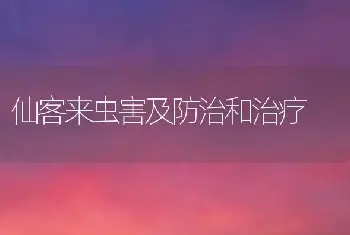 仙客来虫害及防治和治疗