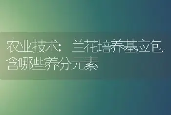 农业技术:兰花培养基应包含哪些养分元素