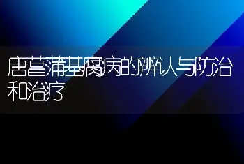 唐菖蒲基腐病的辨认与防治和治疗