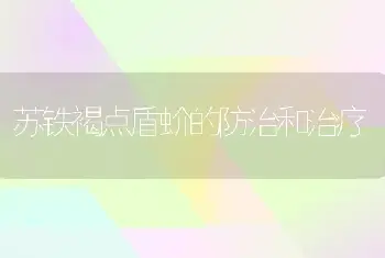 苏铁褐点盾蚧的防治和治疗