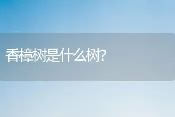 香樟树是什么树？