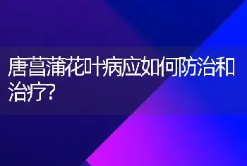 唐菖蒲花叶病应如何防治和治疗？