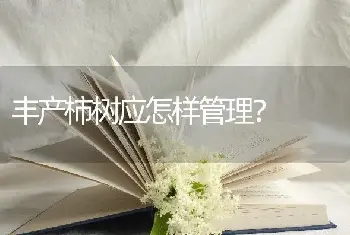 丰产柿树应怎样管理？