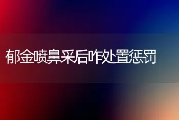 郁金喷鼻采后咋处置惩罚