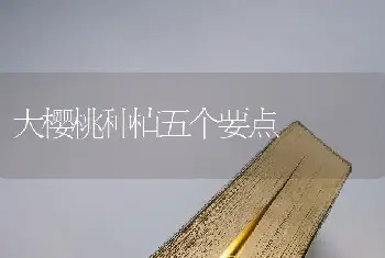 识银杏大蚕蛾治核桃大毛虫