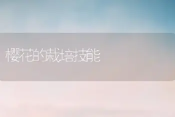 樱花的栽培技能