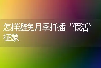 怎样避免月季扦插“假活”征象