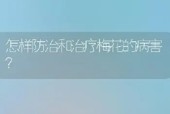 怎样防治和治疗梅花的病害？