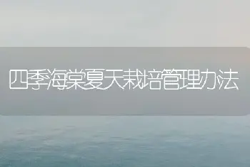 四季海棠夏天栽培管理办法