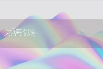 戈壁玫瑰