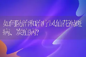 如何防治和治疗凤仙花褐斑病、炭疽病？