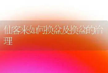 仙客来如何换盆及换盆的治理