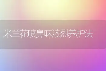 米兰花喷鼻味浓烈养护法