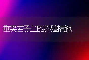 垂笑君子兰的养殖措施