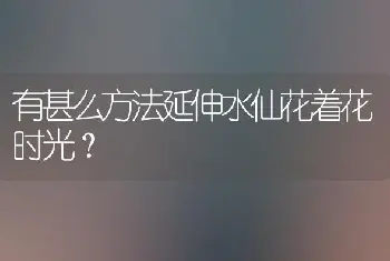 有甚么方法延伸水仙花着花时光？