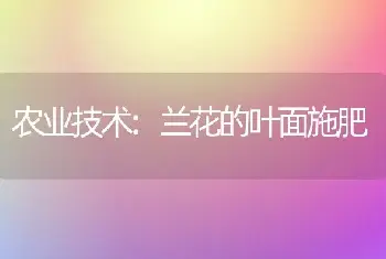 农业技术:兰花的叶面施肥