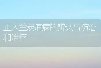 正人兰炭疽病的辨认与防治和治疗