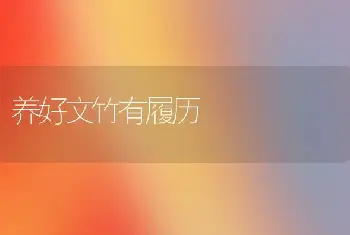 秋海棠新品类‘香皇后’、‘厚角’、‘芳菲’和‘苁茎’