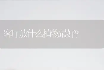 客厅放什么植物最好？