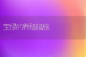 宝绿的养殖措施