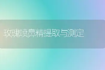 玫瑰喷鼻精提取与测定