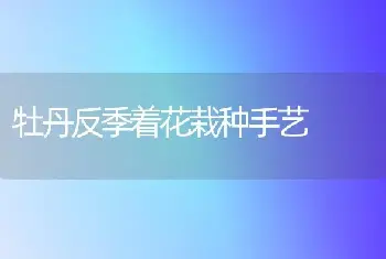 杜鹃花在开花前与开花时期如何养护