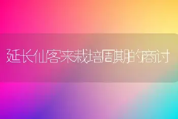 延长仙客来栽培周期的商讨