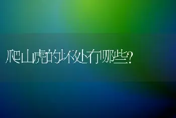 蟹爪兰怎么浇水？