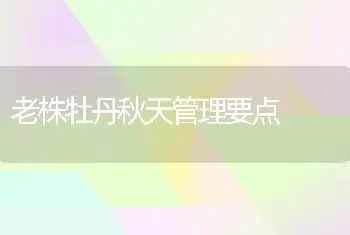 老株牡丹秋天管理要点