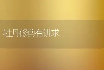 牡丹修剪有讲求