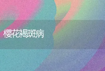 樱花褐斑病