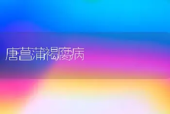 球根秋海棠的滋生治理（二）