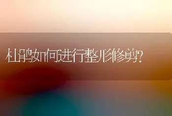 杜鹃如何进行整形修剪？