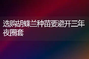 选购胡蝶兰种苗要避开三年夜圈套