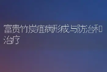 富贵竹炭疽病形成与防治和治疗