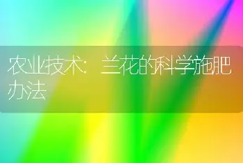 农业技术:兰花的科学施肥办法