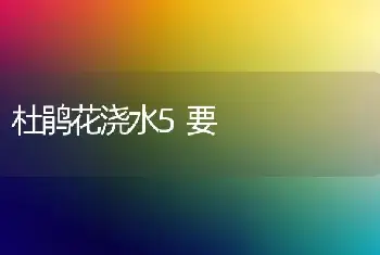 杜鹃花浇水5要