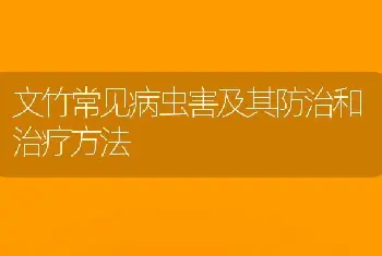 文竹常见病虫害及其防治和治疗方法