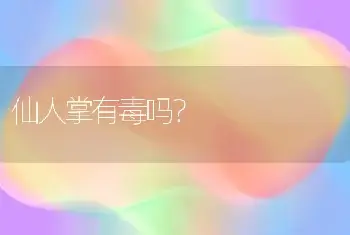 仙人掌有毒吗？